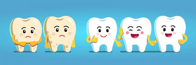 Appearance of Teeth in Children